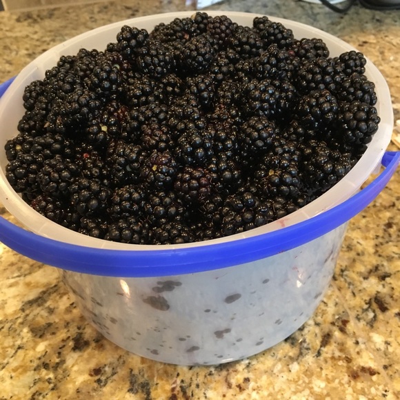 Meet your Posher, A - Picture 1 of 1